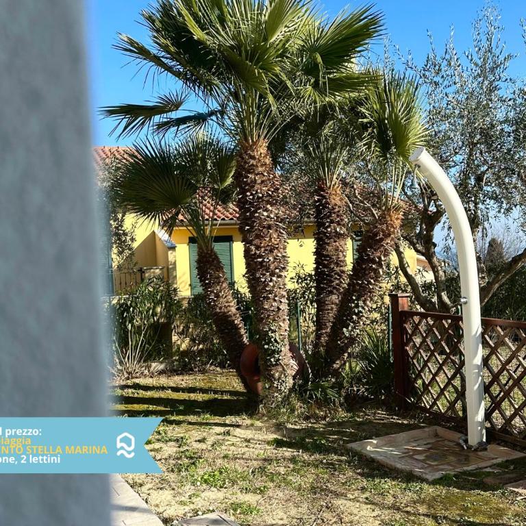 VIVA4 - Numana, nuovo trilocale in villa con piscina - Two-Bedroom Apartment - 40