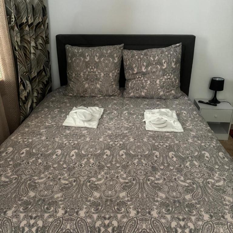 Mason Loft Studio - One-Bedroom Apartment - 2