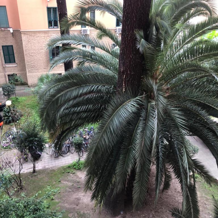 Vatican 3th Floor - Appartamento con 2 Camere da Letto - 53
