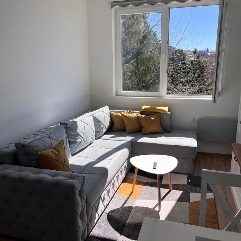 KopStar Apartment Kopaonik 19 - Apartman sa 1 Spavaćom Sobom - 20