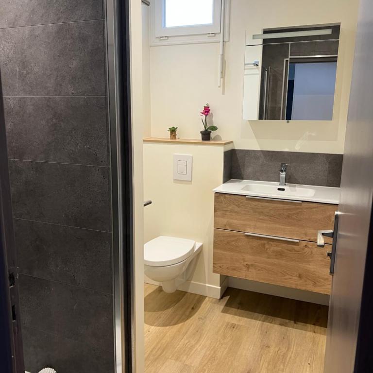 Chaleureux T4,résidence avec caméra et digicode ,possibilité location voiture Mercedes gla garage , Netflix, climatisation, petit déjeuner ,repas du soir fondue, raclette , barbecue sur demande - Three-Bedroom Apartment - 3