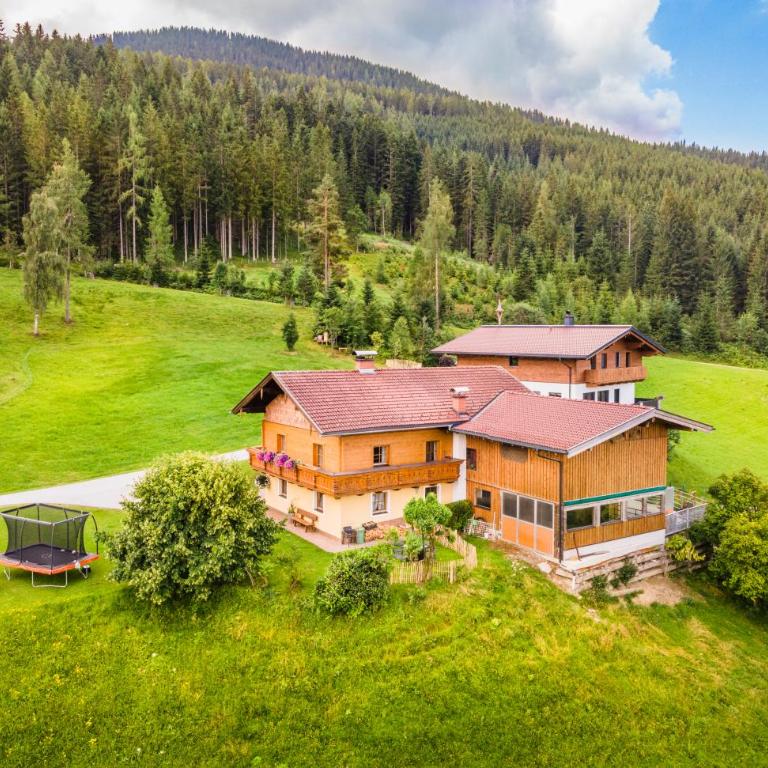 Panorama Chalet Höllmaishof - Chalet mit 2 Schlafzimmern - 30