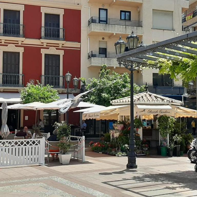 Ref 257 Apartamento en primera línea de playa con impresionantes vistas al Mediterráneo - Apartamento de 2 dormitorios con vistas al océano - 24