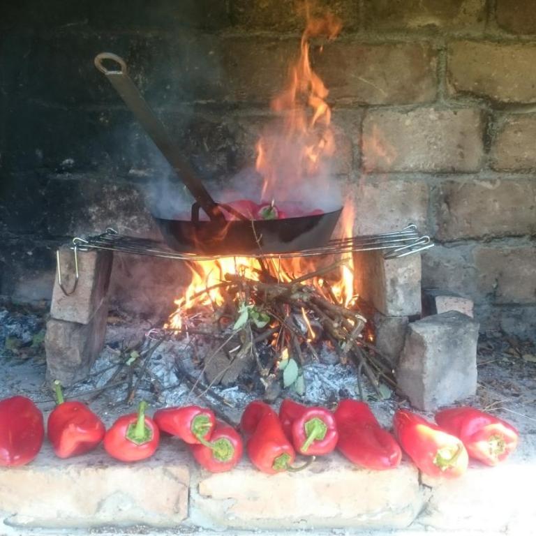 MontenegrinaBiH, Petrovici, Istocno Sarajevo - Kuća sa Dve Spavaće Sobe - 32