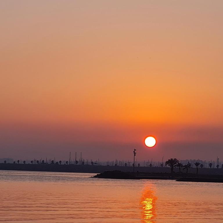 Apartments near Del Cura and Los Locos beaches - One-Bedroom Apartment - 38