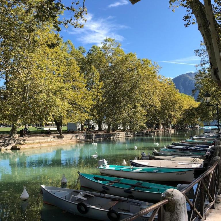 Balcon sur le lac - Apartment mit 1 Schlafzimmer - 5
