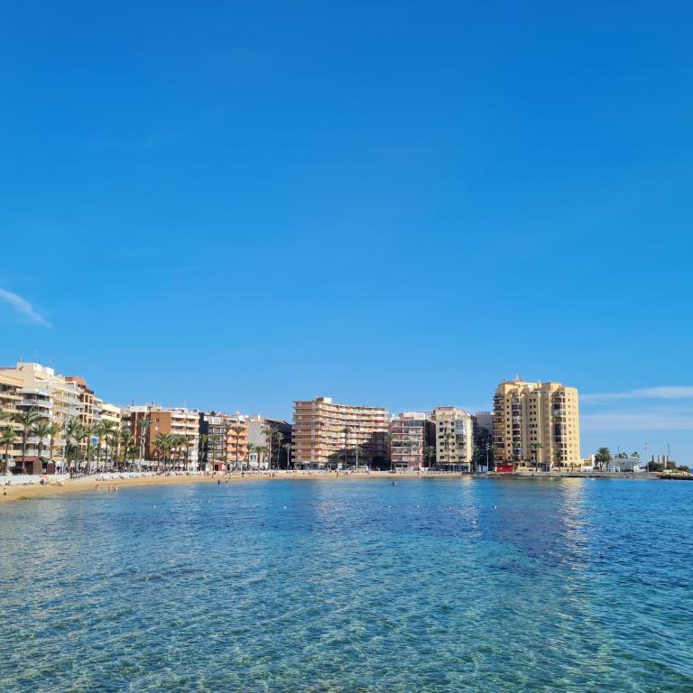 Apartments near Del Cura and Los Locos beaches - One-Bedroom Apartment - 19