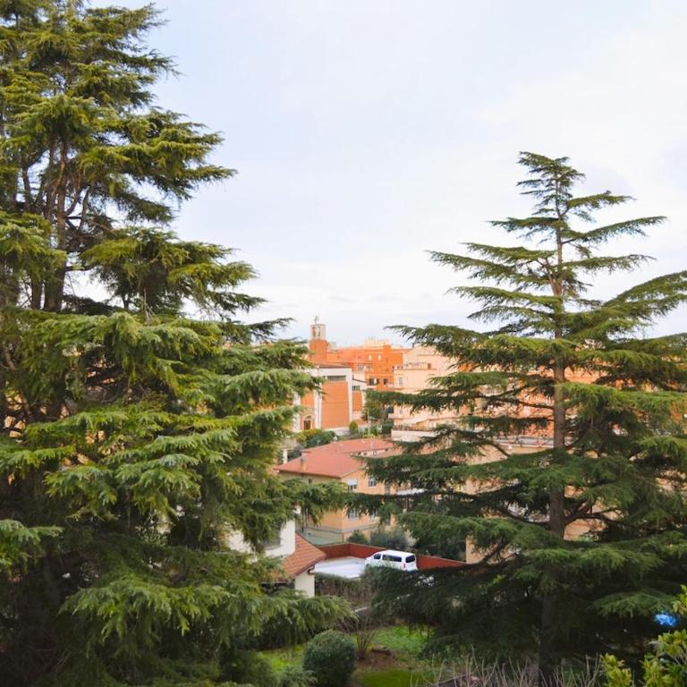 Attico Aurelia Antica - Apartment mit Terrasse - 41