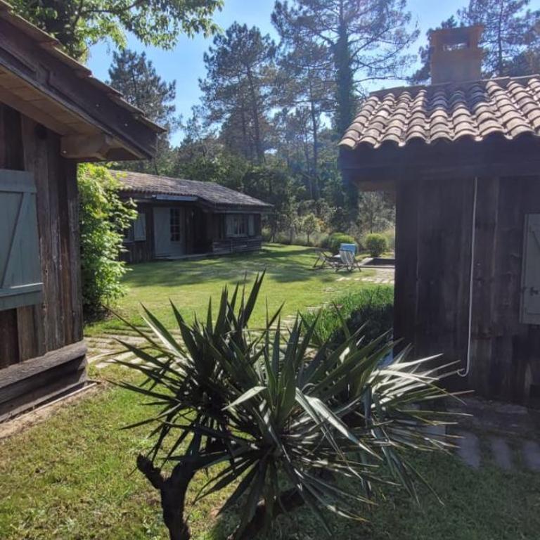 4 Cabanes de luxe privatisées à 300m de la Dune - Villa - 25