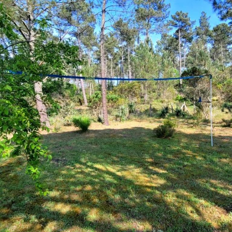 4 Cabanes de luxe privatisées à 300m de la Dune - Villa - 27