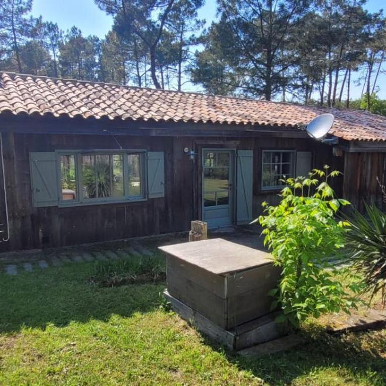 4 Cabanes de luxe privatisées à 300m de la Dune - Villa - 30