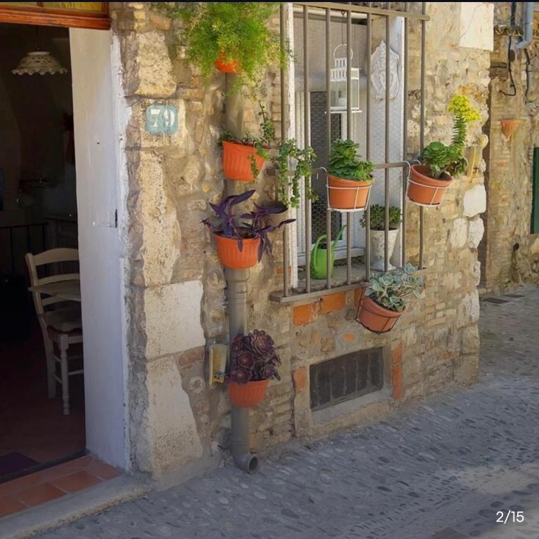Charmante maison de village haut de cagnes - Maison 1 Chambre - 5