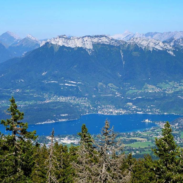 Annecy calme proche centre parking gratuit - Studio - 1