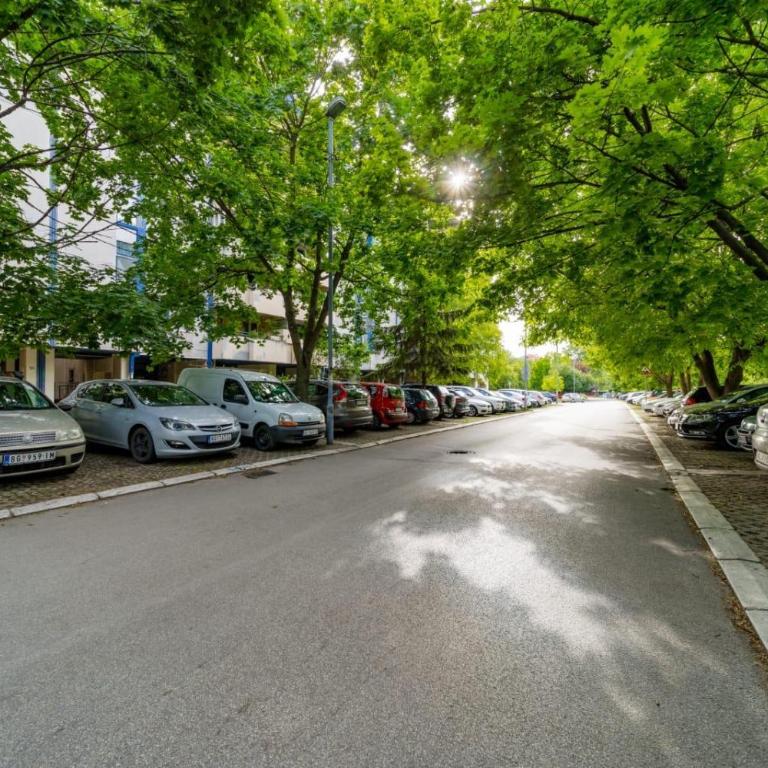 Ritual Belgrade Apartment - Apartman sa 2 Spavaće Sobe - 22