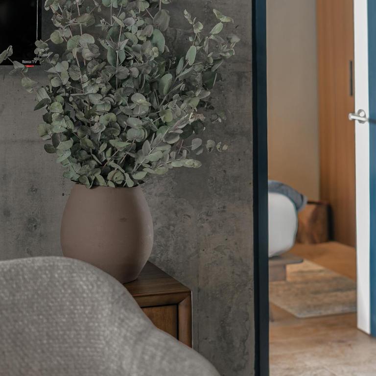 Indigo Veracruz Roma Nte Apt 1B I 1B - One-Bedroom Apartment - 32