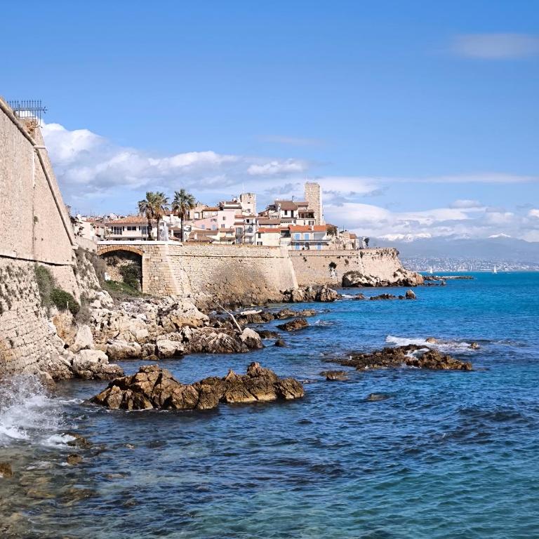 SELI 2 pièces CLIMATISÉ CLASSÉ 52 M2 terrasse 20m2 PLAGES PISCINE ANTIBES avec PARKING PRIVATIF - One-Bedroom Apartment - 1