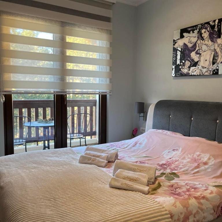 Zlatibor Apartman Magique - Apartman sa 1 Spavaćom Sobom - 57