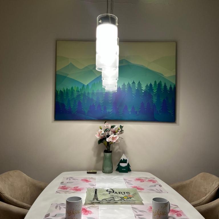 Zlatibor Apartman Magique - Apartman sa 1 Spavaćom Sobom - 42