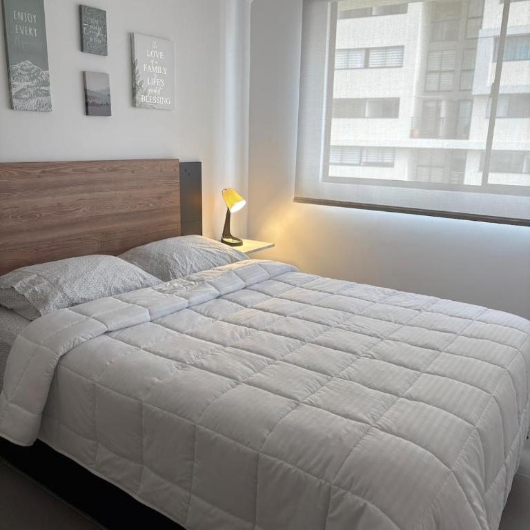 Apartamento nuevo y acogedor Excelente ubicación - Apartamento de 3 dormitorios con balcón - 16