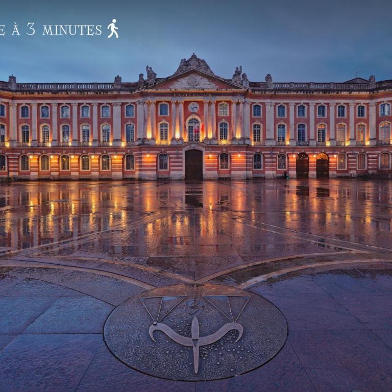 Studio Toulouse Capitole La Voute Rose - Appartamento con 1 Camera da Letto - 61