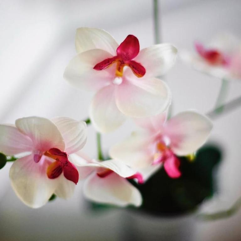 Cozy and Stylish with A-C in City Center! - Apartamento - 10
