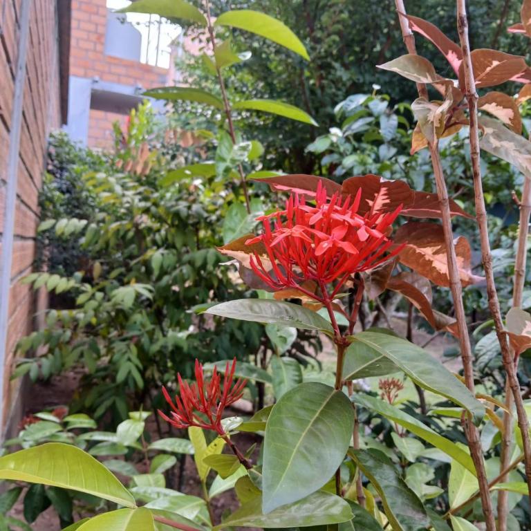 HEYSEN Haus - Apartamento - Planta baja - 8