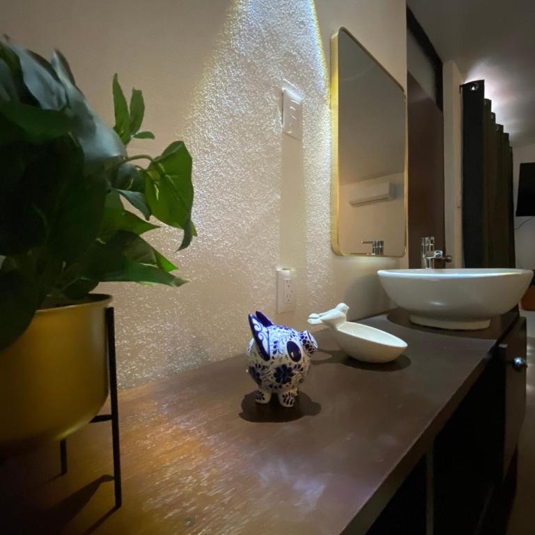 Casa Queretana H4 - Apartamento - 3