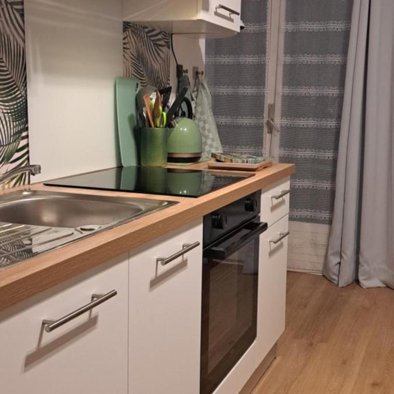 A 50m des cures libre mi septembre joli studio rénové orienté Nord bien ventilé - Appartement 1 Chambre - 43