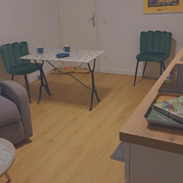 A 50m des cures libre mi septembre joli studio rénové orienté Nord bien ventilé - Appartement 1 Chambre - 49