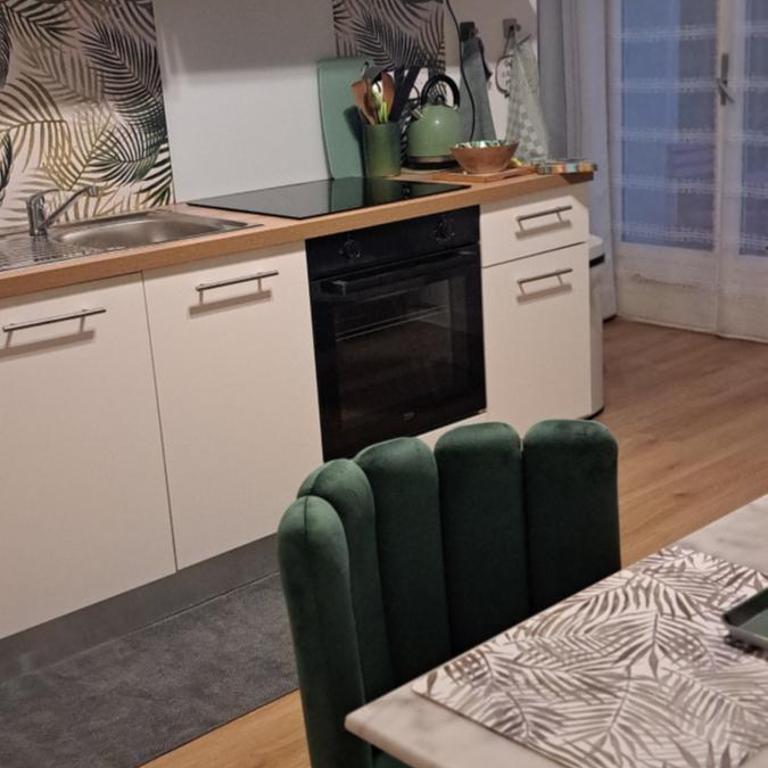 A 50m des cures libre mi septembre joli studio rénové orienté Nord bien ventilé - Appartement 1 Chambre - 31