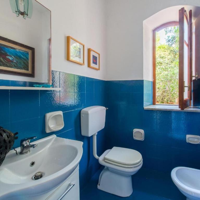 Villa Emma 50 mt from the sea with private pool - Villa with Sea View - 13