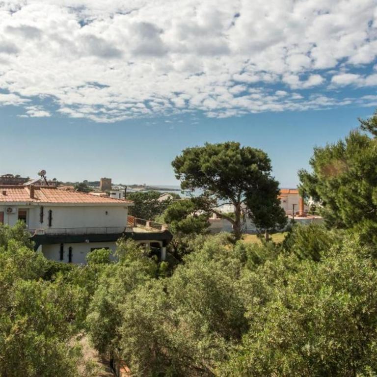 Villa Emma 50 mt from the sea with private pool - Villa with Sea View - 24