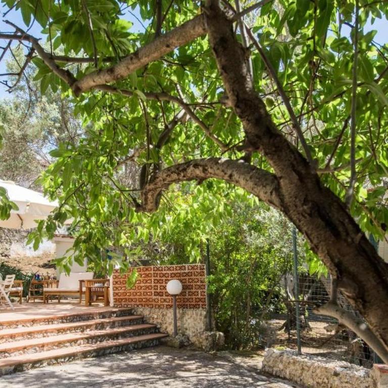 Villa Emma 50 mt from the sea with private pool - Villa with Sea View - 26