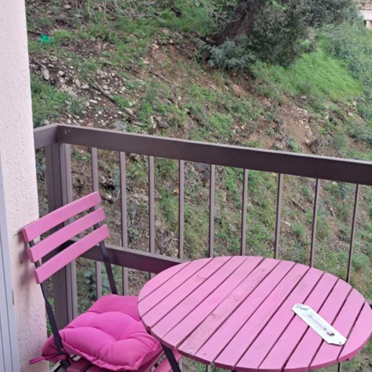 A 50m des cures libre mi septembre joli studio rénové orienté Nord bien ventilé - Appartement 1 Chambre - 41