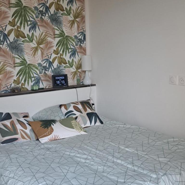 A 50m des cures libre mi septembre joli studio rénové orienté Nord bien ventilé - Appartement 1 Chambre - 45