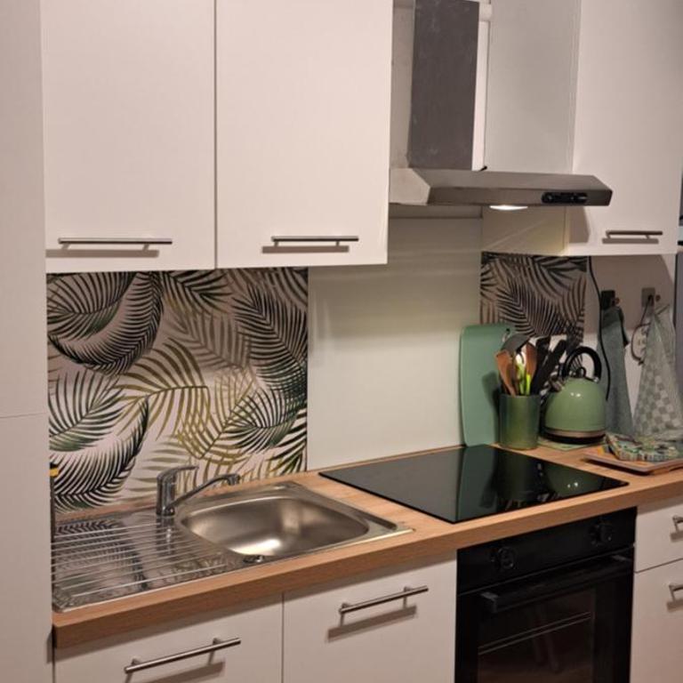 A 50m des cures libre mi septembre joli studio rénové orienté Nord bien ventilé - Appartement 1 Chambre - 27