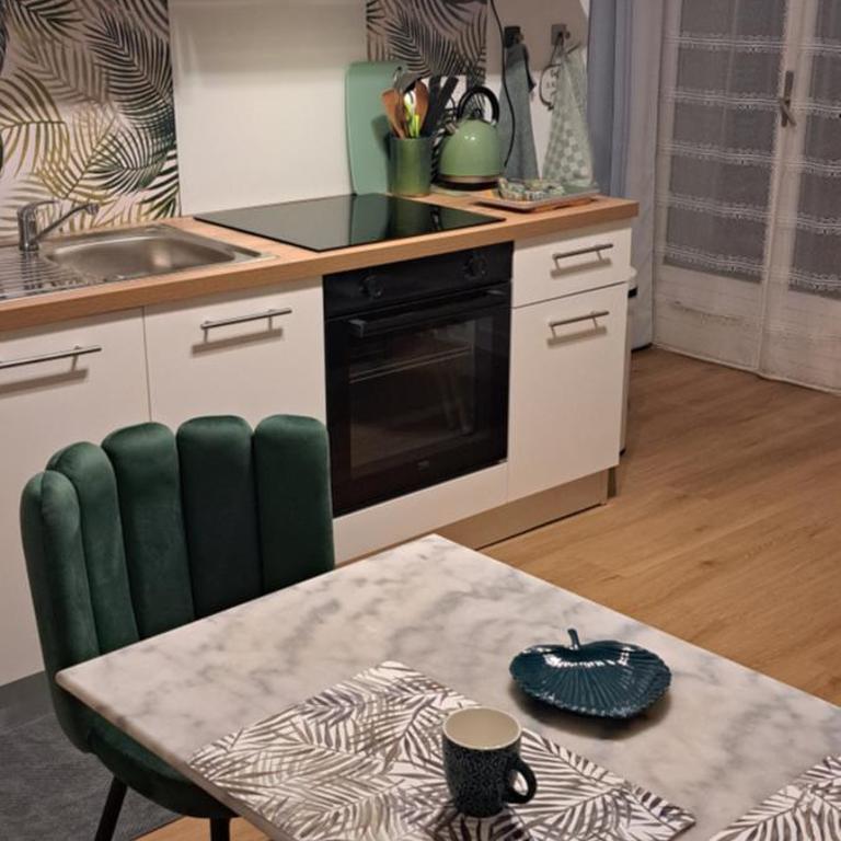 A 50m des cures libre mi septembre joli studio rénové orienté Nord bien ventilé - Appartement 1 Chambre - 24