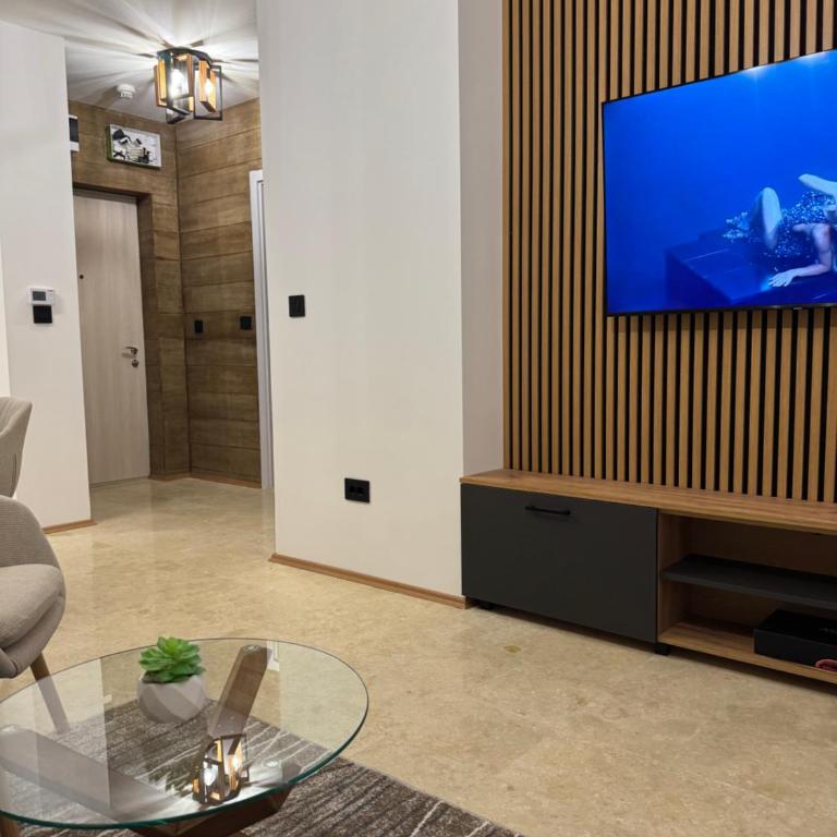 Vip Residence FILIPOVIĆ INVEST - Apartman sa 1 Spavaćom Sobom - 9