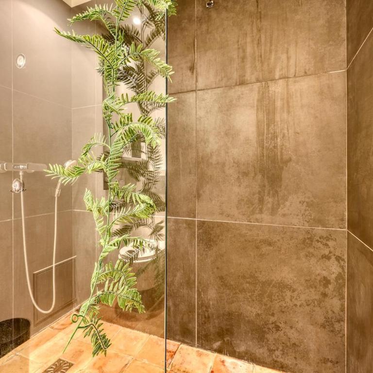 Le Cocon Cavet T3 cœur village Marché & Port - Apartment mit 2 Schlafzimmern - 9