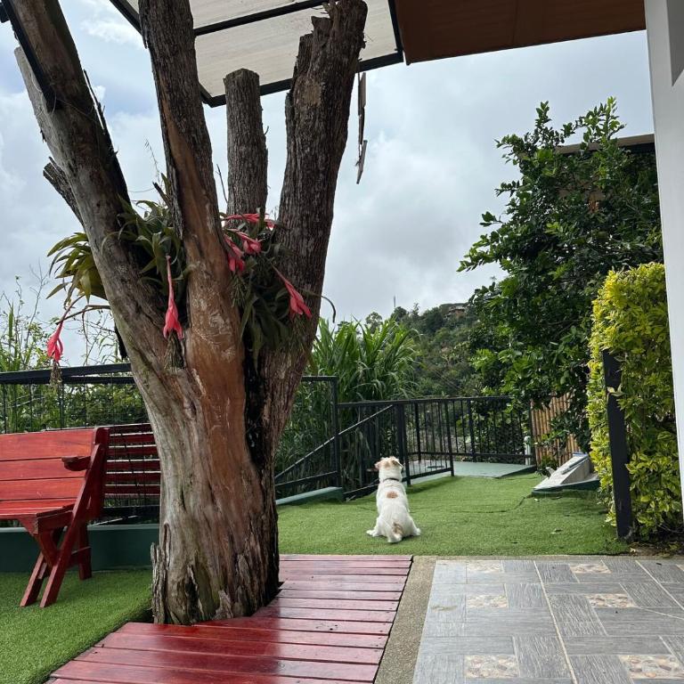 Casa Campestre - Three-Bedroom House - 19