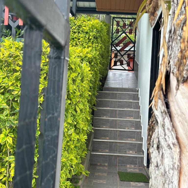 Casa Campestre - Three-Bedroom House - 37