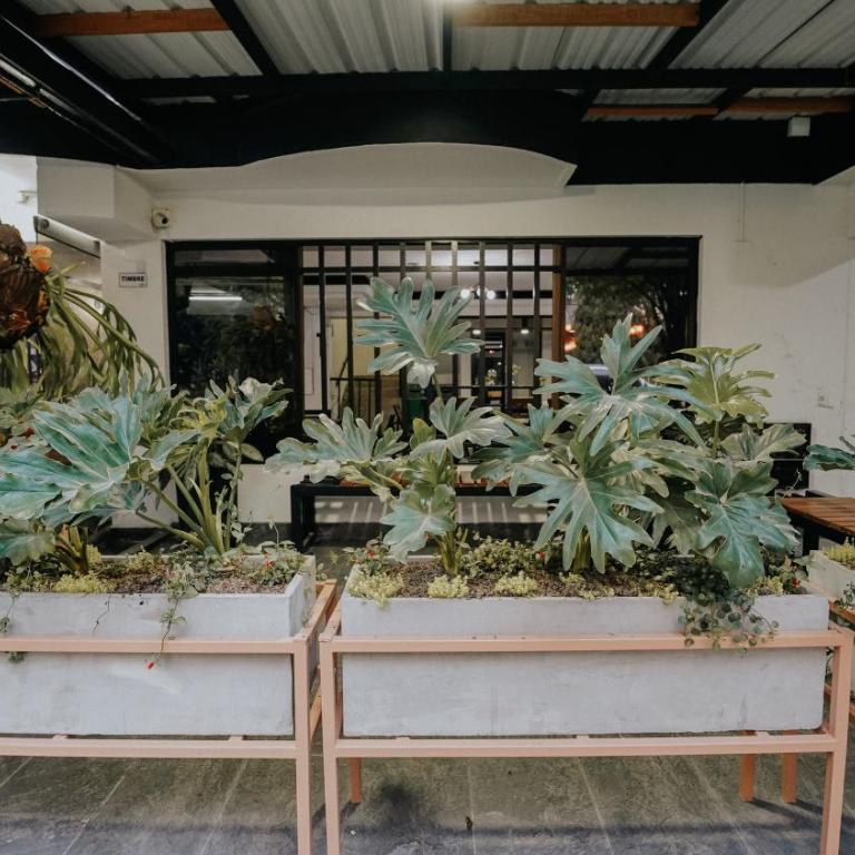 Hotel Balcones del Estadio - Habitación Doble - 2 camas - 21