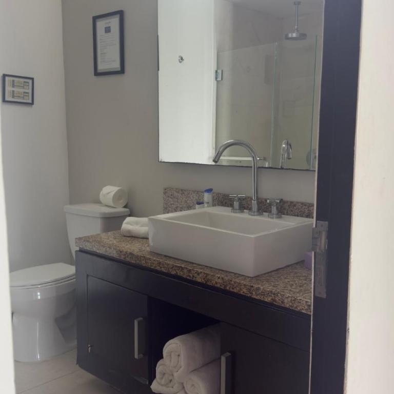 Peninsula PV 2bed 2 bad - Apartamento de 1 dormitorio - 13