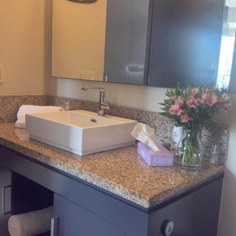 Peninsula PV 2bed 2 bad - Apartamento de 1 dormitorio - 30
