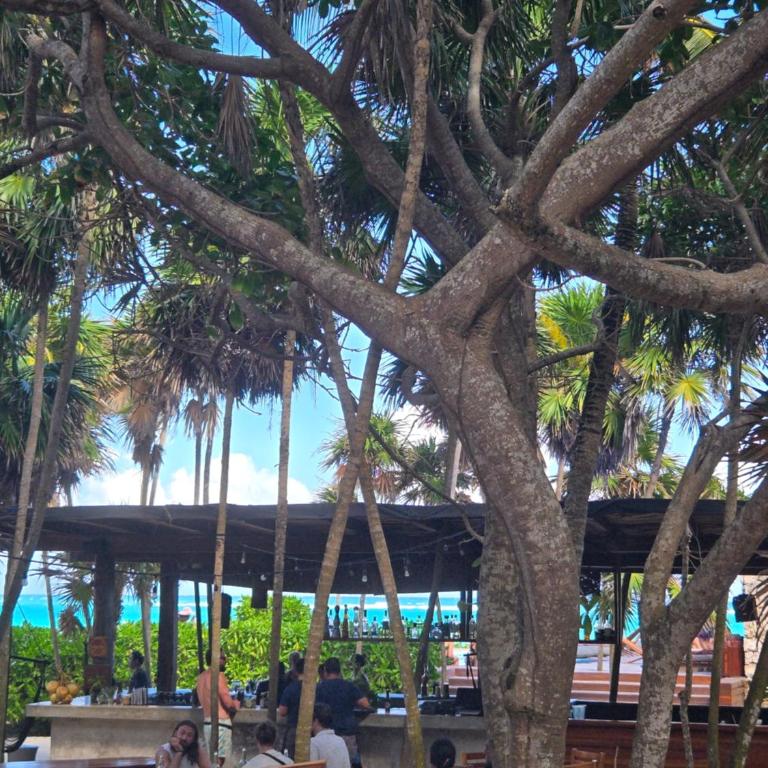 Tulum Hotel zone - Soaking Tub & Free Beach Club - Apartamento de 1 dormitorio - 34
