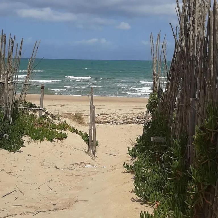 Spiaggia Libera e di Sabbia dorata per " Limoncello" Appartamento a 150 m dal Mare ! Perfetto per Famiglie e Coppie - Apartment mit 2 Schlafzimmern - 23