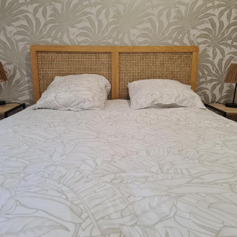 Douces Vagues - hypercentre climatisé - Apartment mit 1 Schlafzimmer - 3