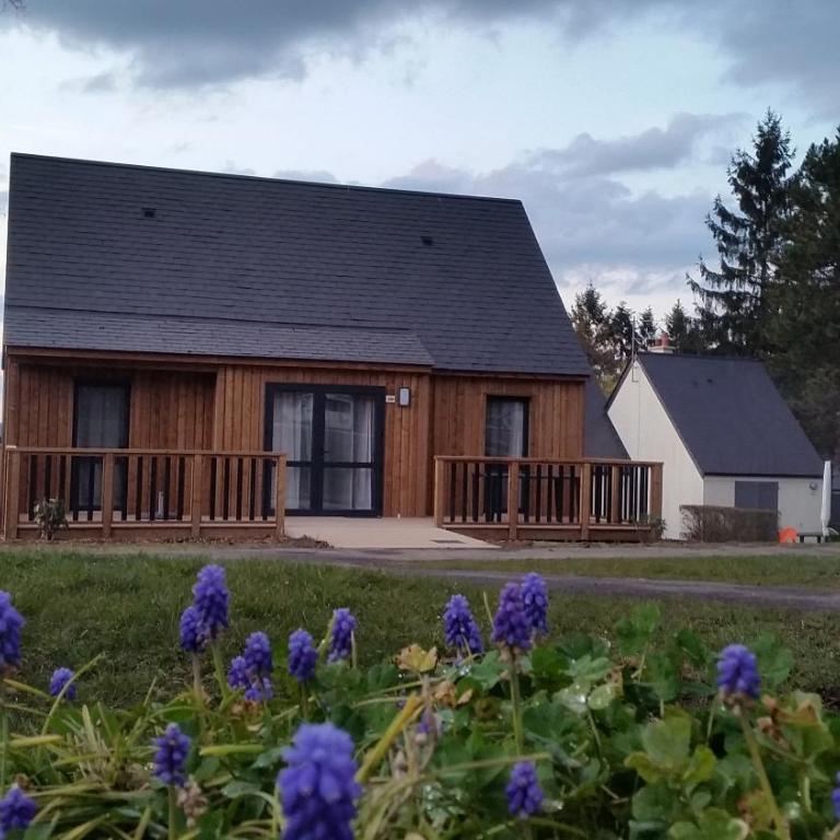 VVF Amboise Les Châteaux de la Loire - Chalet con 2 Camere da Letto - 4