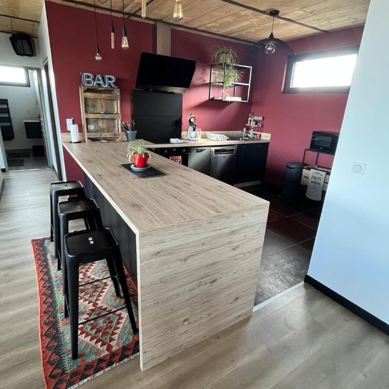 Magnifique LOFT urbain centre,gare,parking privé - Appartement - 23