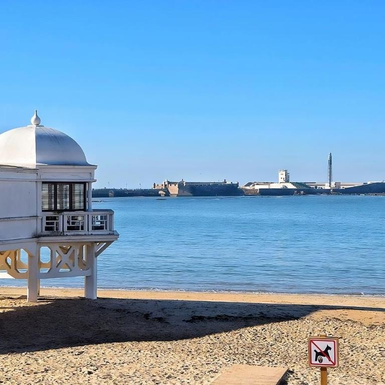 Apartamento Martínez Campos - Playa La Caleta - Apartamento de 3 dormitorios Premium - 25